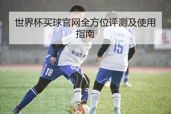 世界杯买球官网全方位评测及使用指南