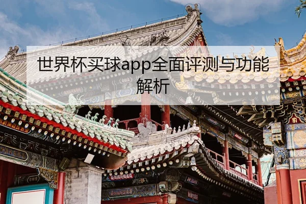 世界杯买球app全面评测与功能解析