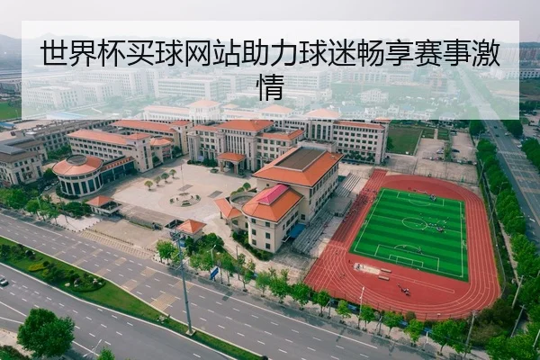世界杯买球网站助力球迷畅享赛事激情