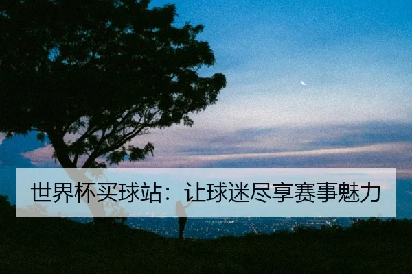 世界杯买球站：让球迷尽享赛事魅力