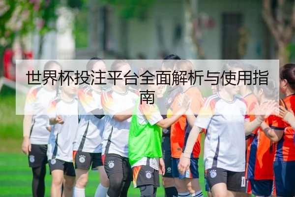 世界杯投注平台全面解析与使用指南